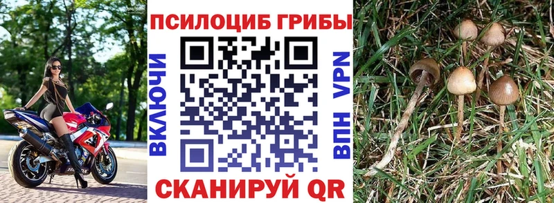 Галлюциногенные грибы мухоморы  Никольск 